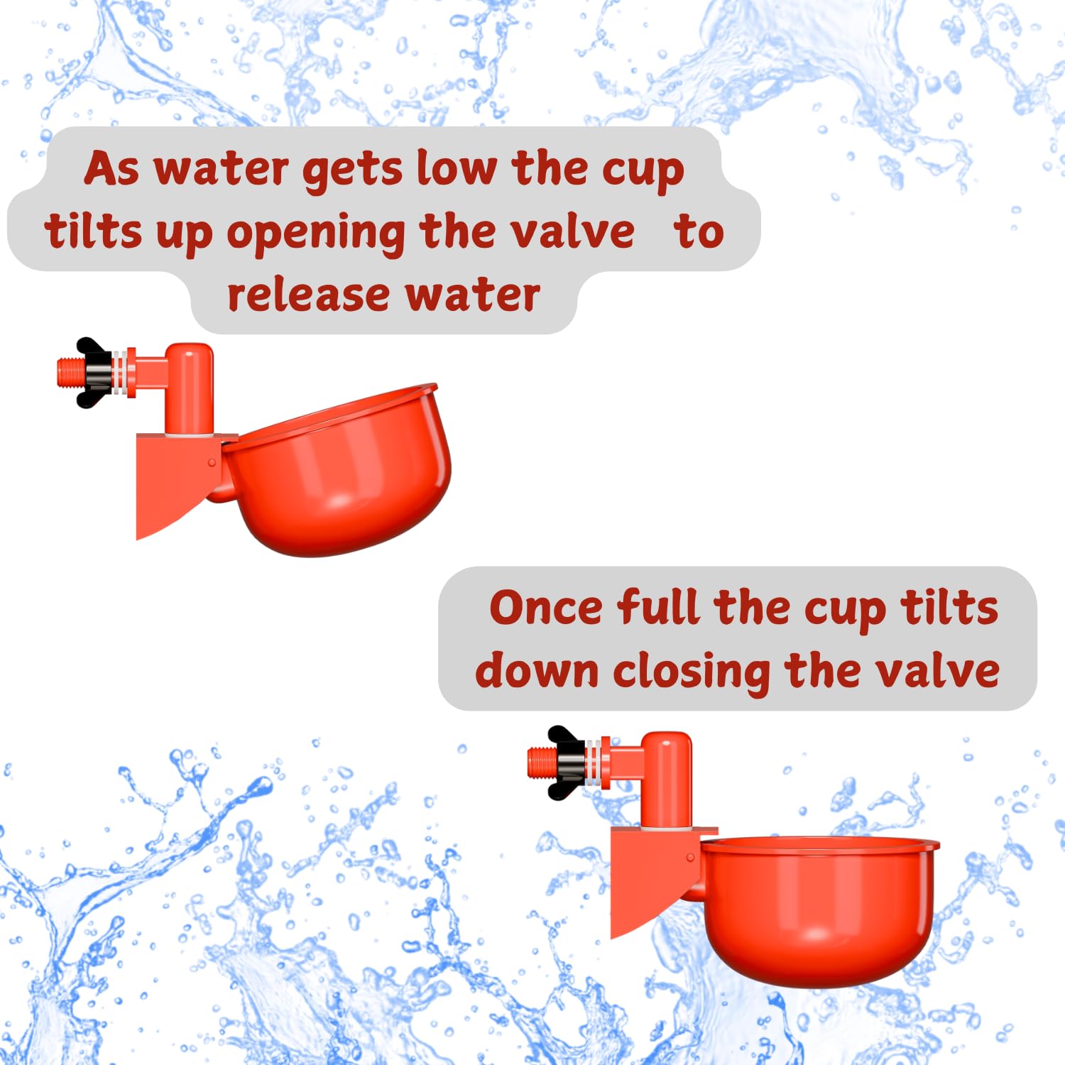 Hillside Homestead coop accessory for reliable water during busy days.