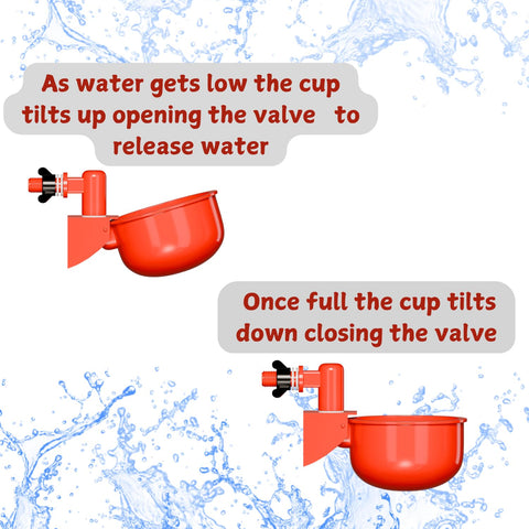Hillside Homestead coop accessory for reliable water during busy days.
