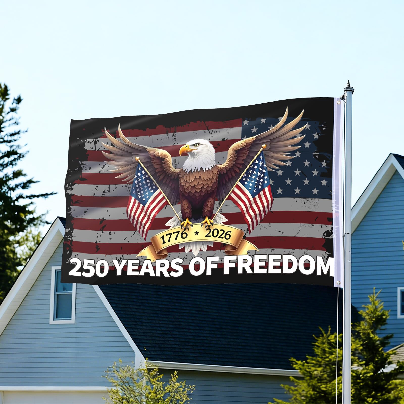 Hillsuren anniversary banner with red, white, blue hues for decor.