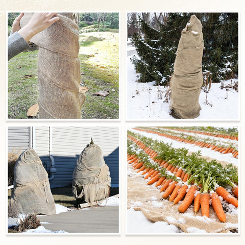 Himake burlap weed barrier demonstrates soil cover and weed suppression