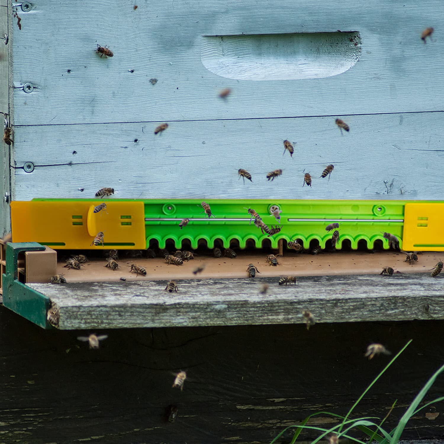HIMO entrance reducer kit for multiple hive setups.