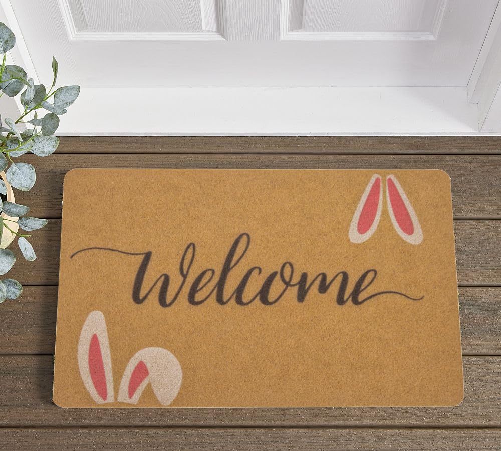 Pet-friendly HinyBoeh doormat suitable for homes with pets