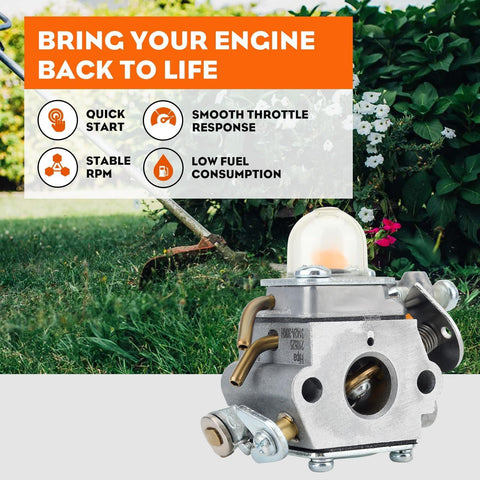 Hipa 308054043 carburetor image emphasizes clean fuel flow with filter.