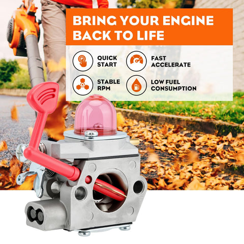 Hipa BVM200VS fuel line set supports steady fuel delivery