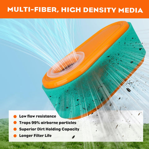 Hipa Timemaster 30 compatibility with Briggs & Stratton engines.
