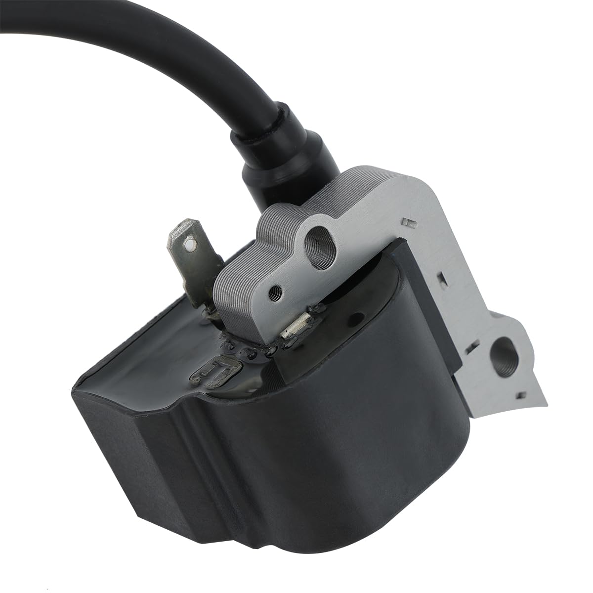 Hipa packaged contents: coil and spark plug