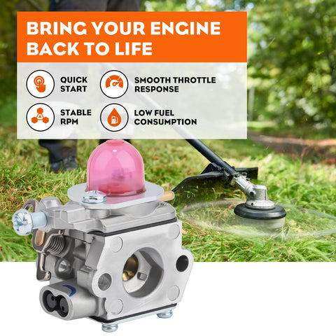 Hipa WT-973 fuel filter protects the carburetor from debris.