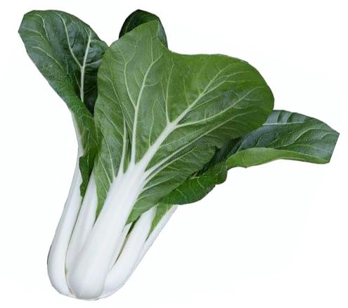 HipGirl bok choy seeds with white stems for home garden and crisp harvest