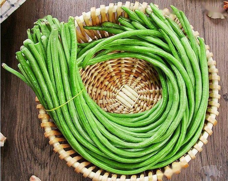 HipGirl yardlong bean pods on vine ready to harvest for fresh meals