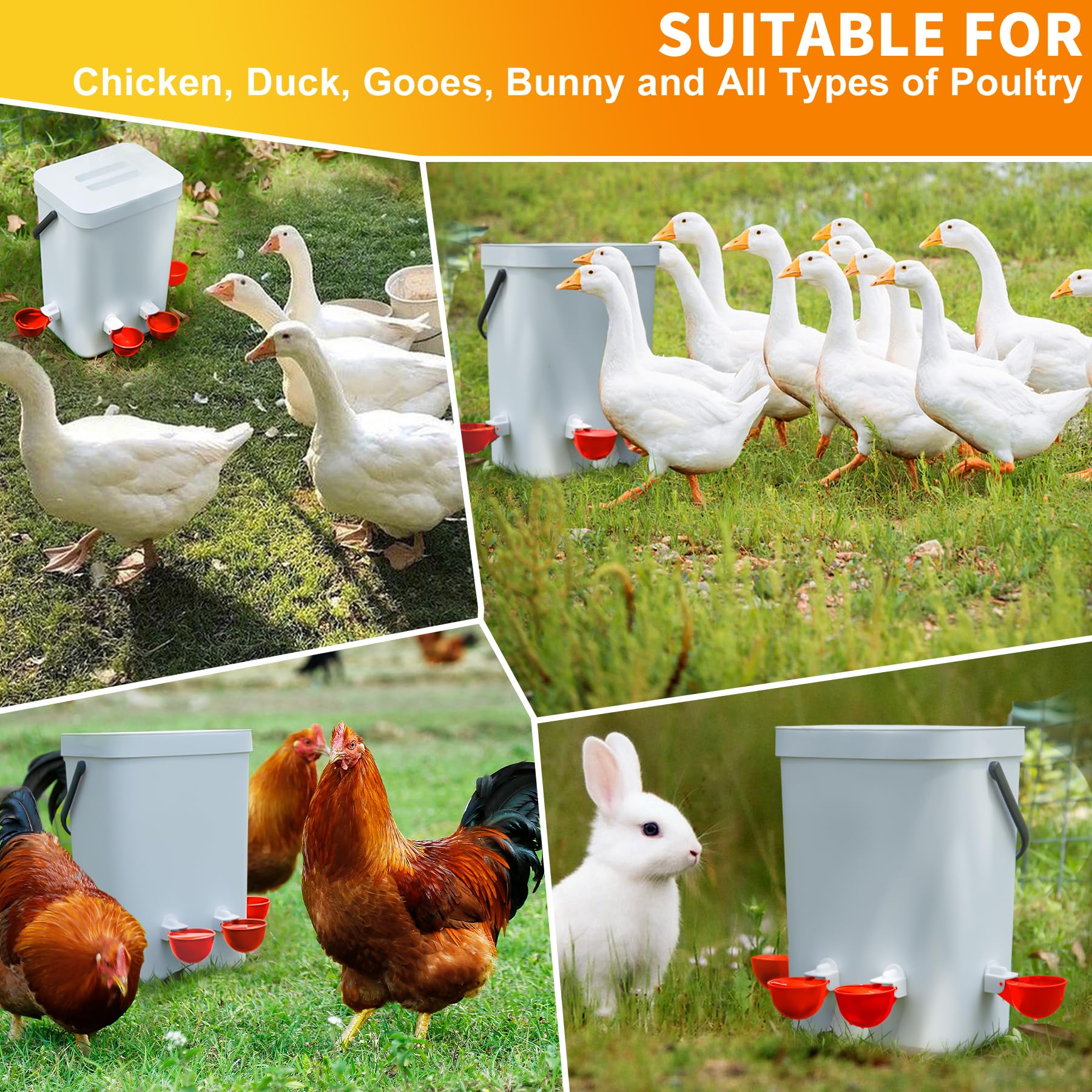 Hipykat 5-gallon container compatibility supports versatile coop setups.