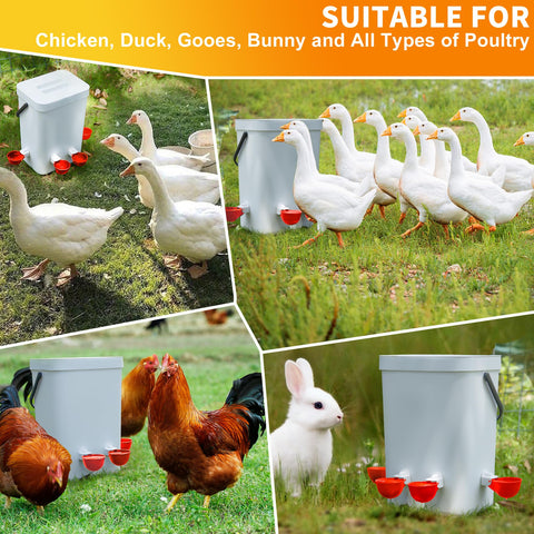 Hipykat 5-gallon container compatibility supports versatile coop setups.