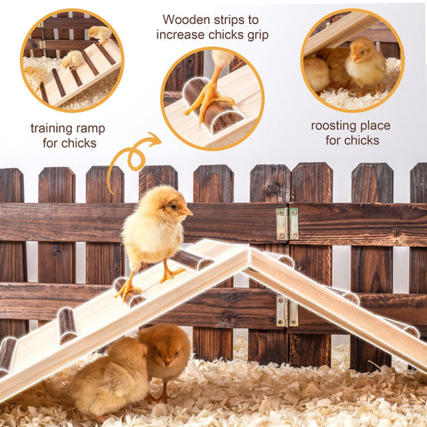 Hipykat natural wood ramp highlighting smooth finish and easy cleaning.