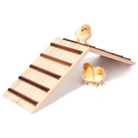 Hipykat Chick Roost Trainer in action, easy setup for brooders.