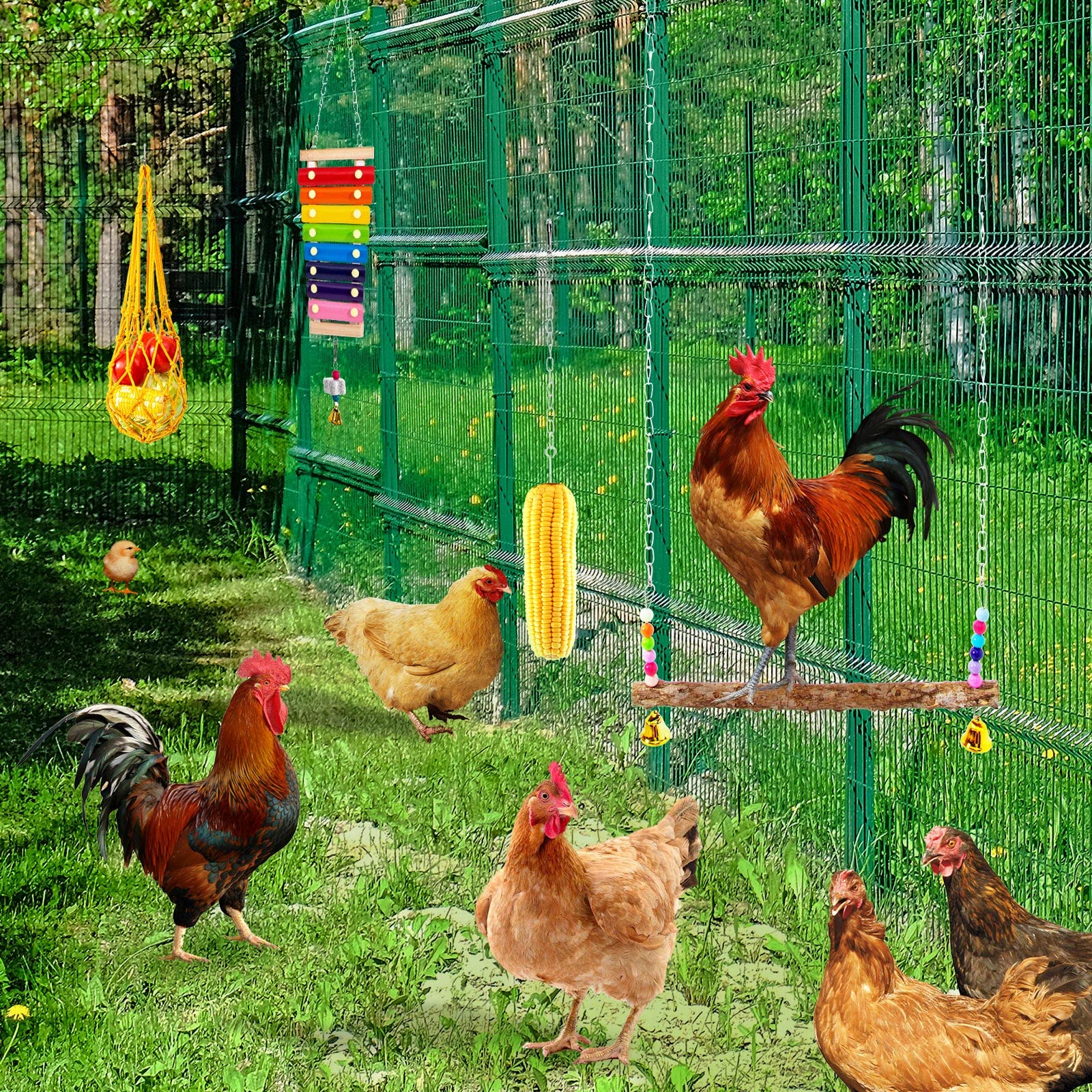 Hipykat chicken pecking toy encourages foraging and beak engagement.