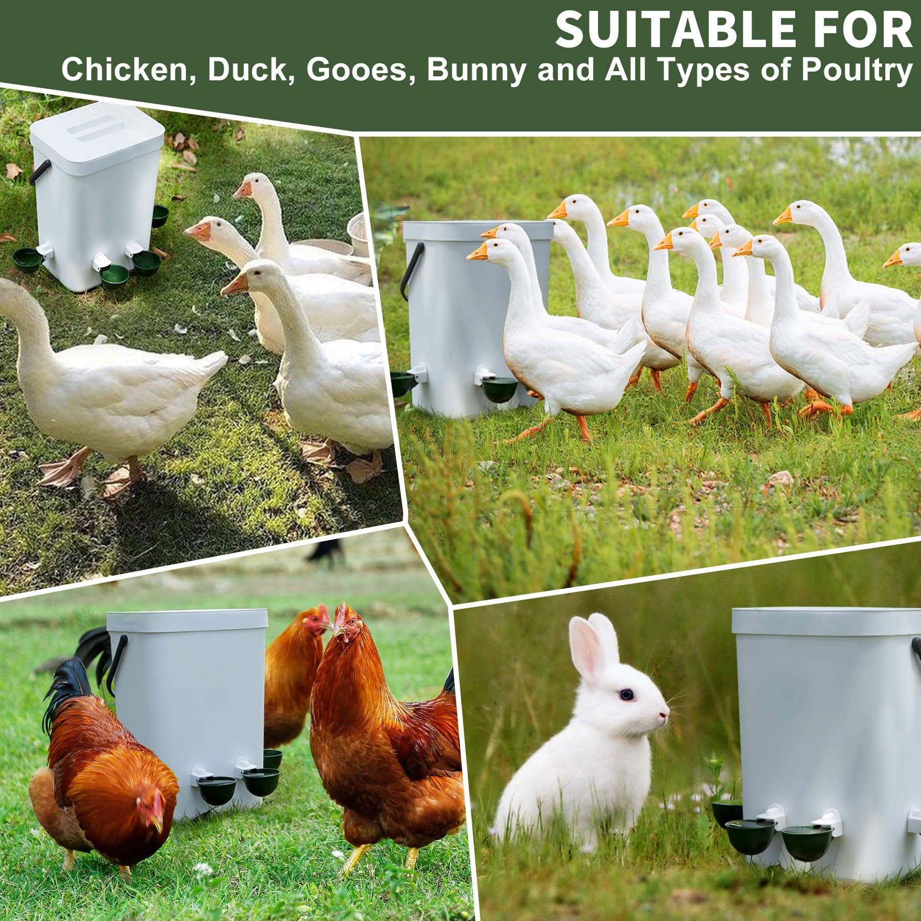 Hipykat DIY-install waterer kit for simple setup with 5-gallon containers.