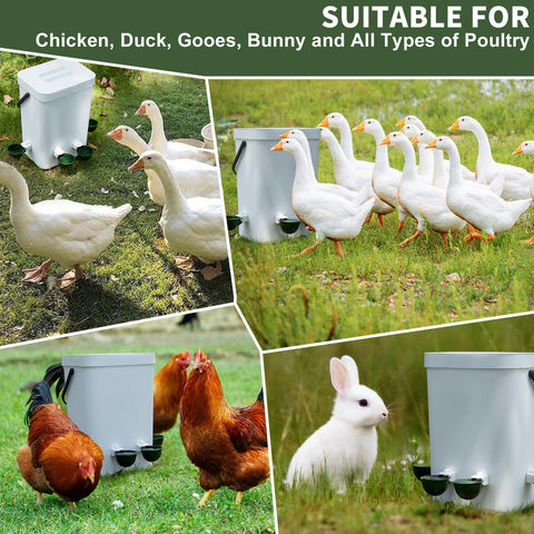 Hipykat DIY-install waterer kit for simple setup with 5-gallon containers.