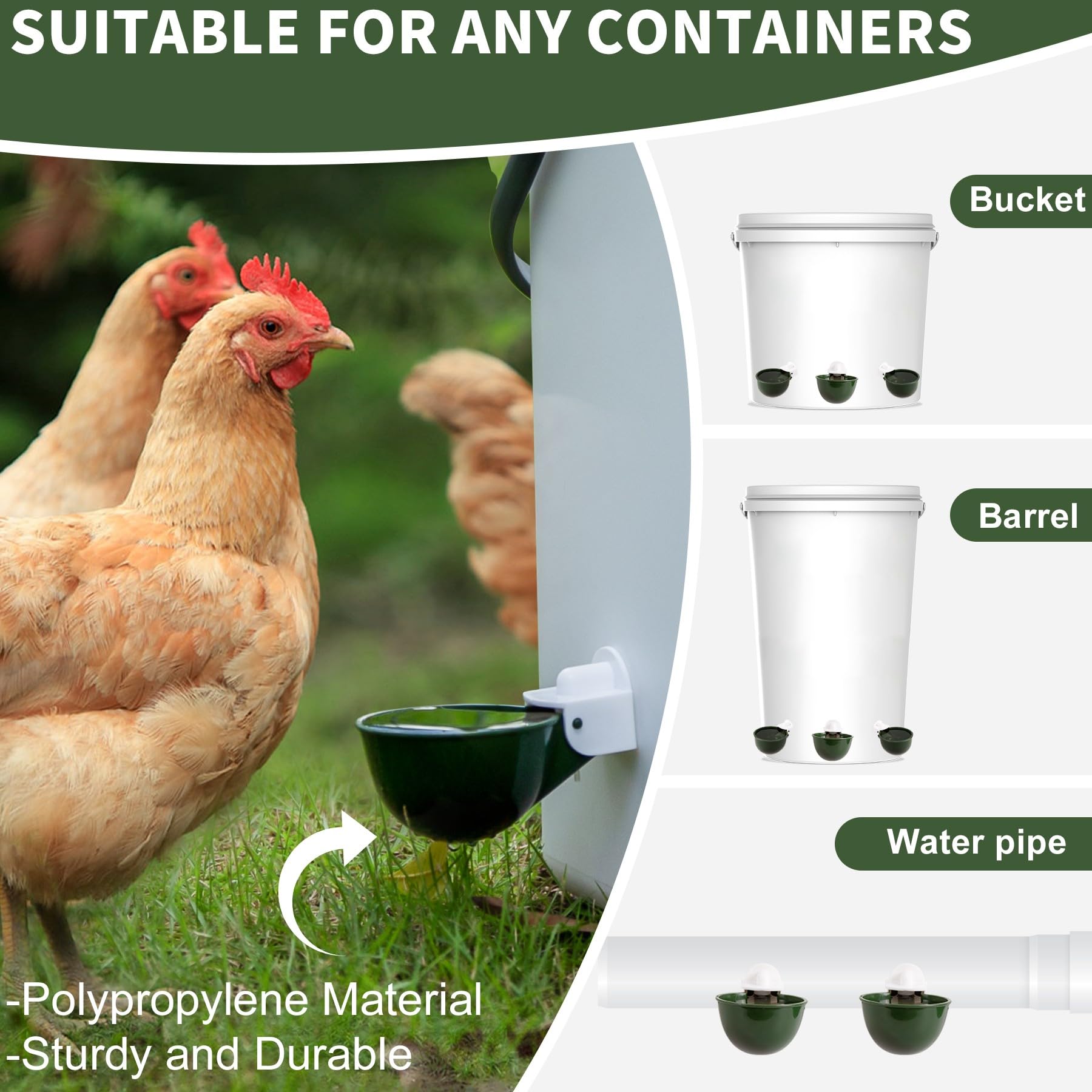 Hipykat gravity poultry water system suitable for ducks, geese, and hens.