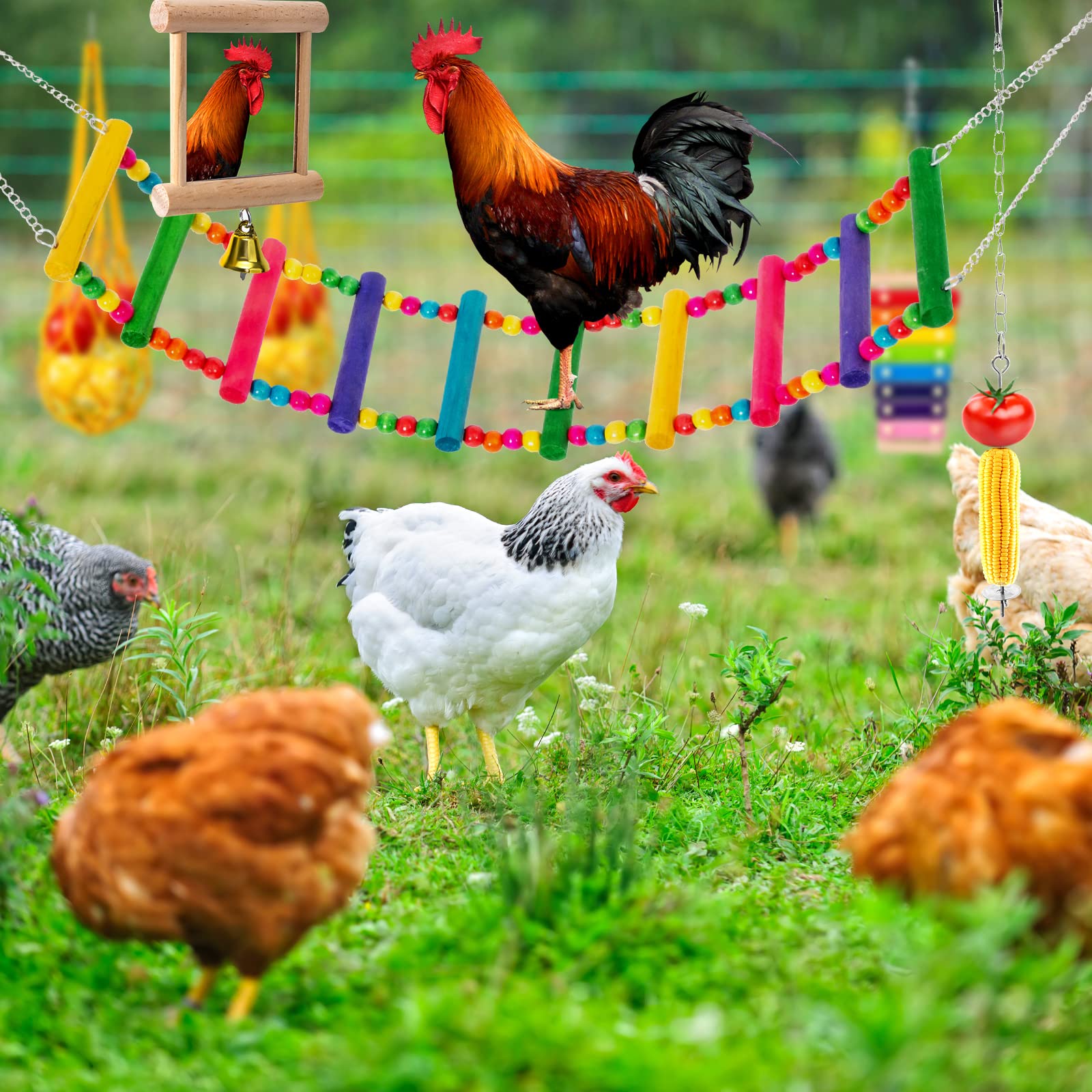 Hipykat vegetable skewer feeder keeps greens accessible and clean in the coop.