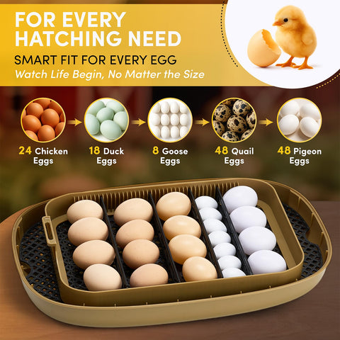 HIRALIY incubator 360-view lid lets you observe progress without disturbance