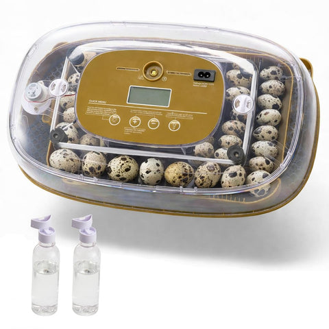 HIRALIY incubator external water filling helps maintain humidity without lid removal