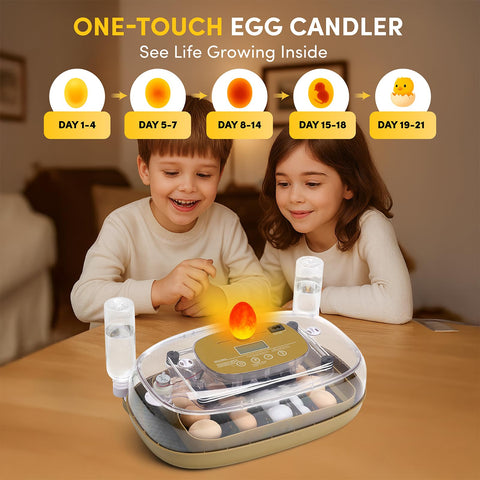 HIRALIY incubator flexible dividers adapt to different egg sizes