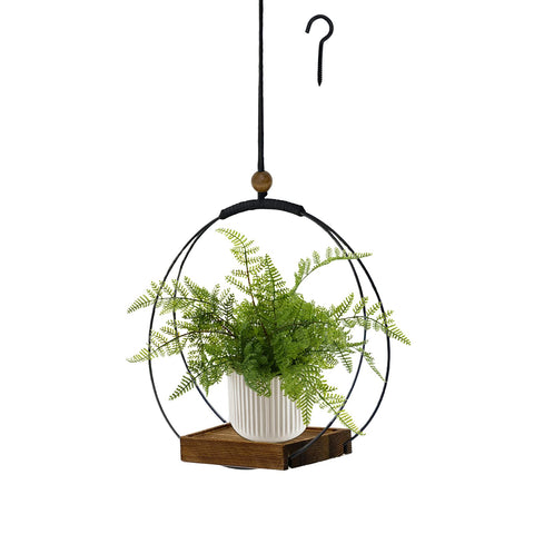 Hismocal hanging planter on wall with black base adds chic indoor decor.