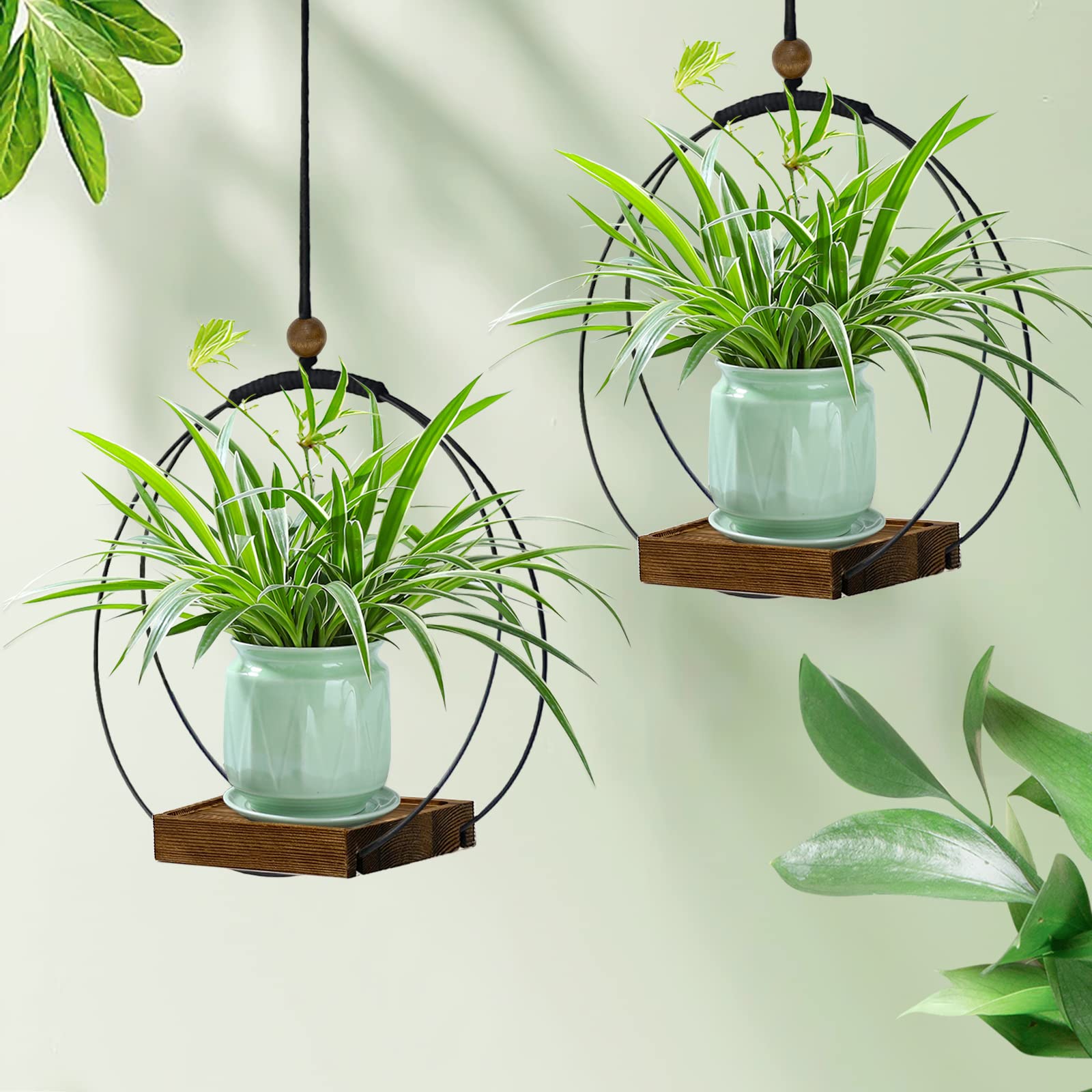 Hismocal rope-length adjustable planter adapts to ceiling and wall heights.