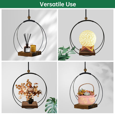 Hismocal wall planter display for 3-5-5inch pots creates a green focal point.