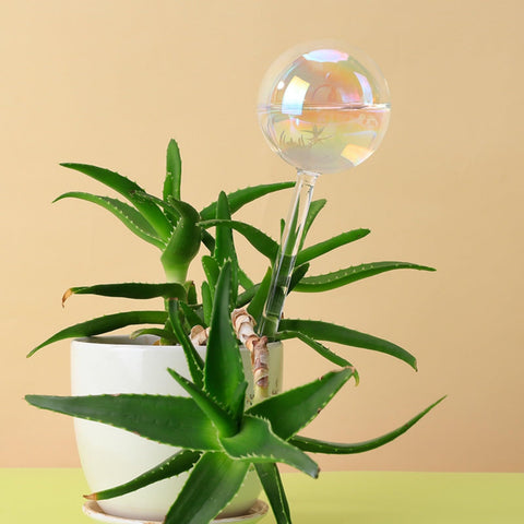 Histely automatic plant waterer bulbs provide reliable watering when you are away