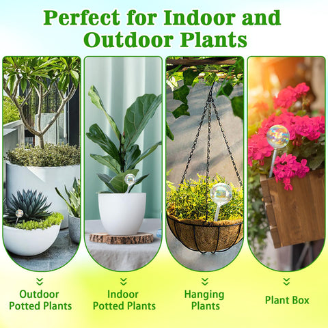 Histely watering globes fit indoor pots, plant boxes, and hanging baskets