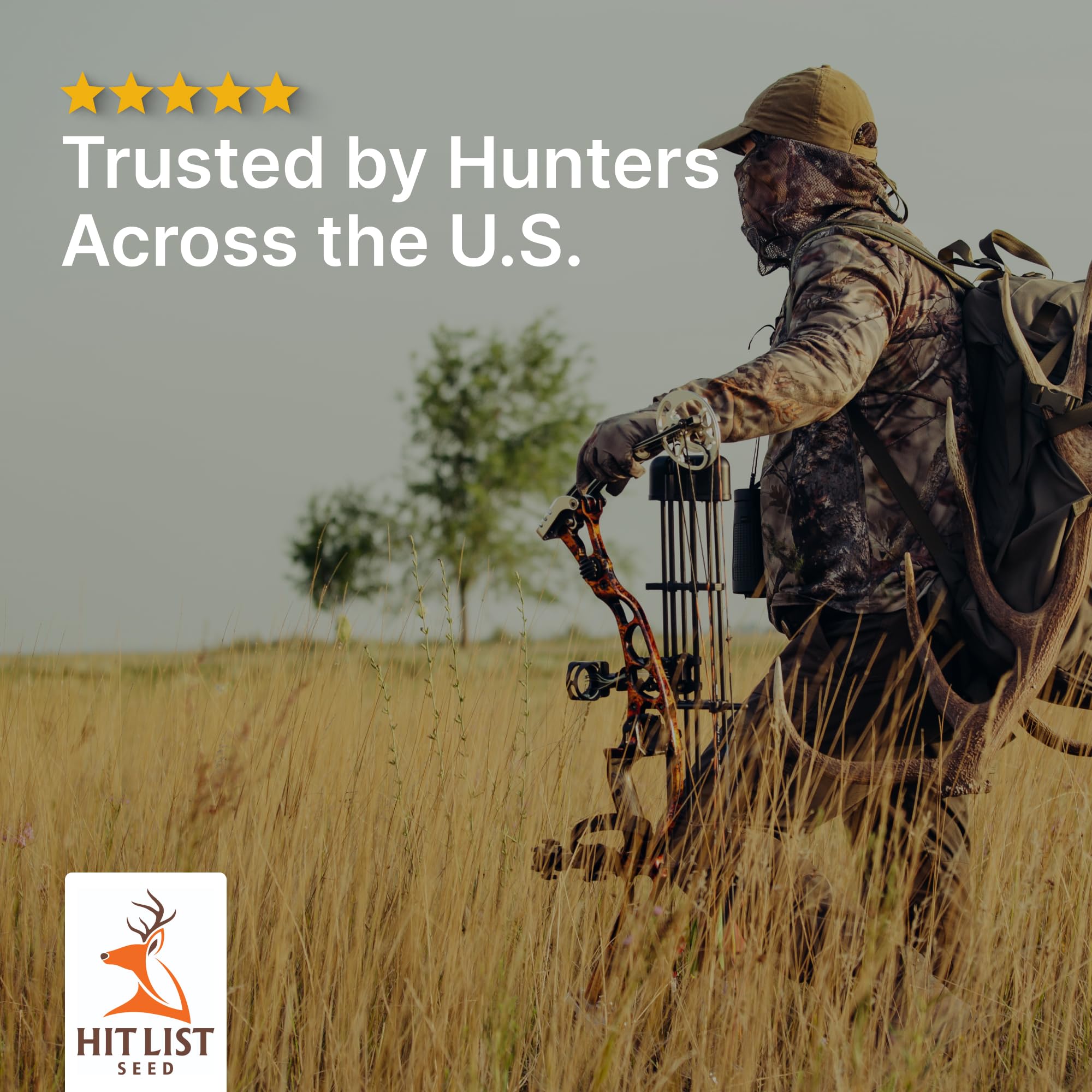 Hit List Seed fast growth reaches tall screen in 60 days