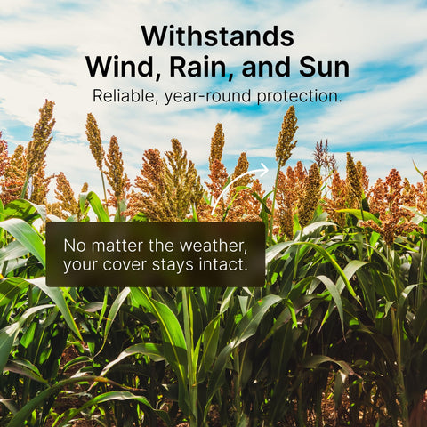 Hit List Seed sorghum sudangrass tall growth creates plot cover
