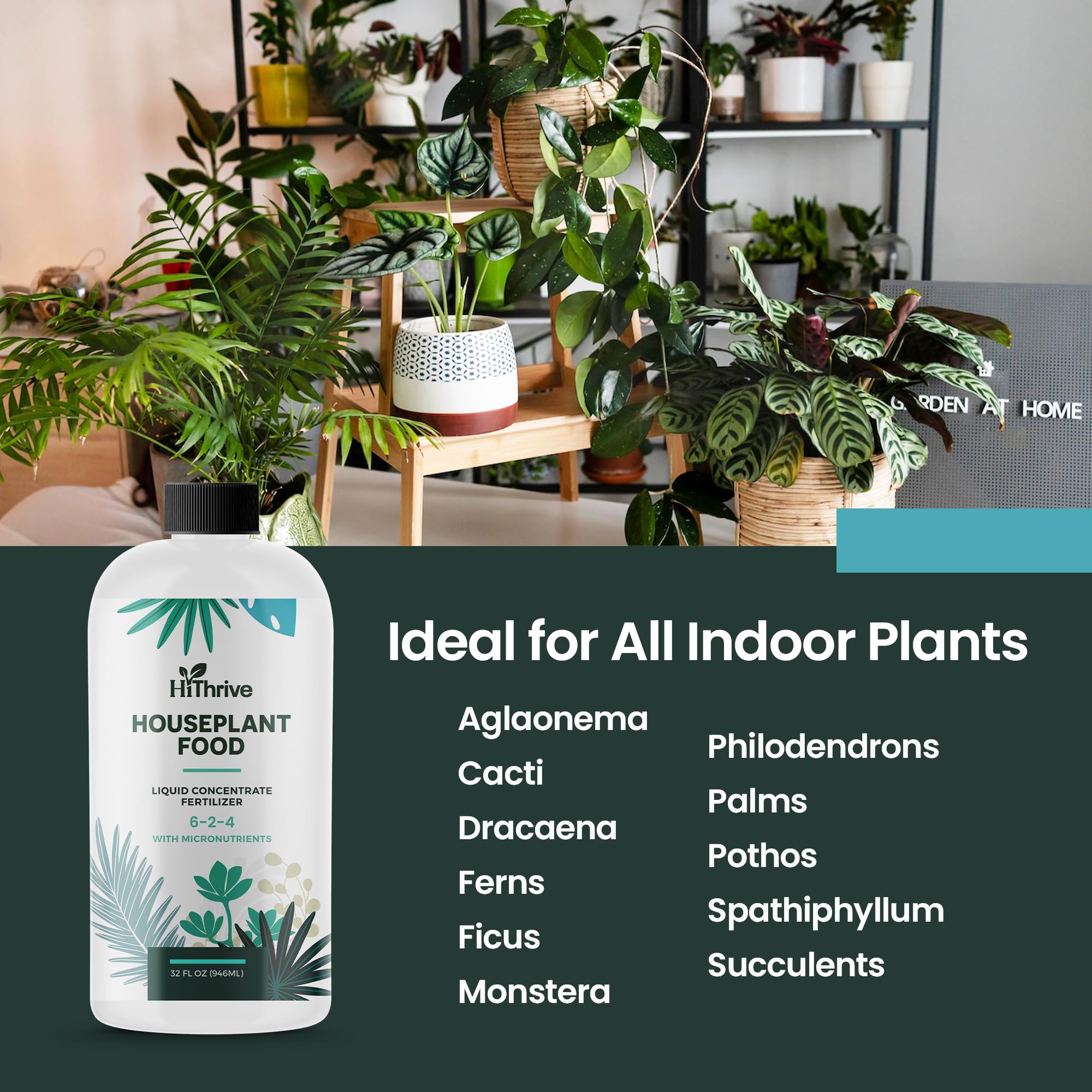 Foliage looks fuller and greener after HiThrive feeding on indoor plants