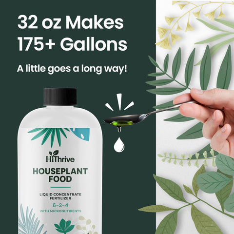 Healthy, lush indoor plants nourished by HiThrive all-purpose formula
