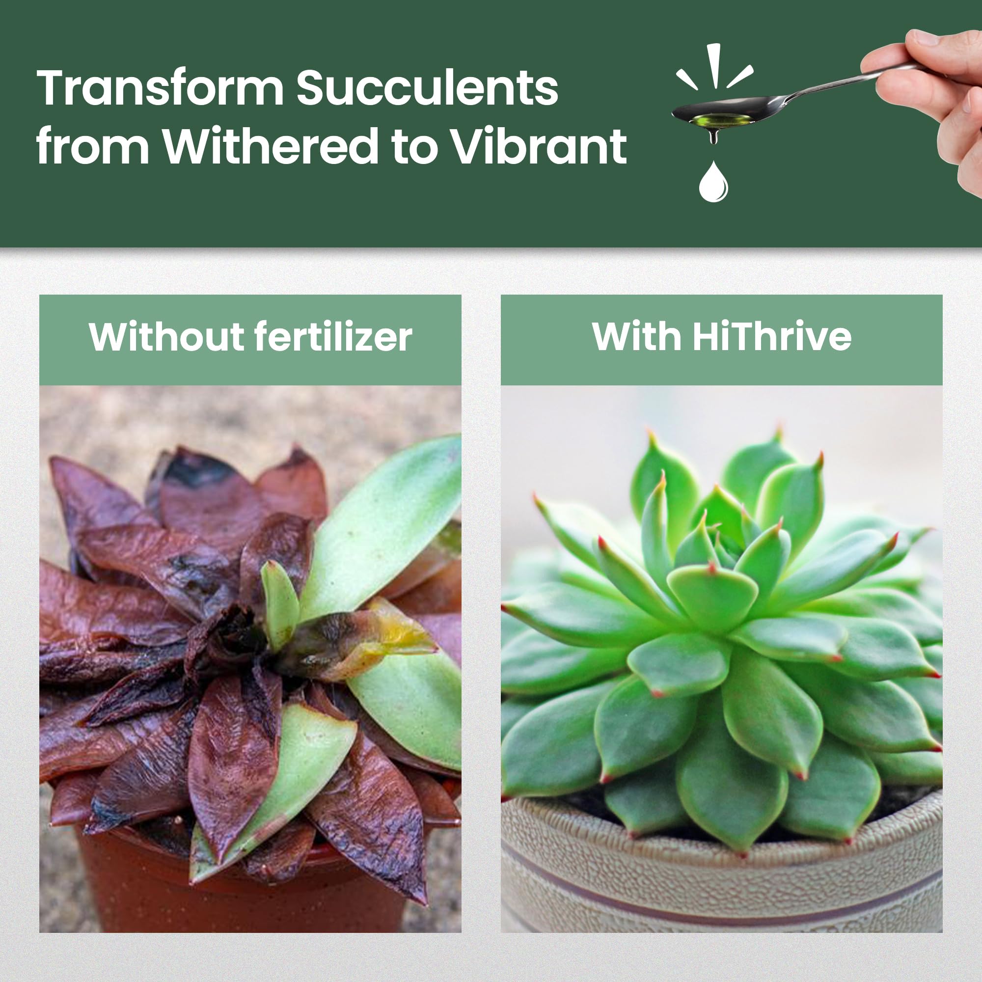 HiThrive 64-gallon ready succulent fertilizer for broad plant coverage.