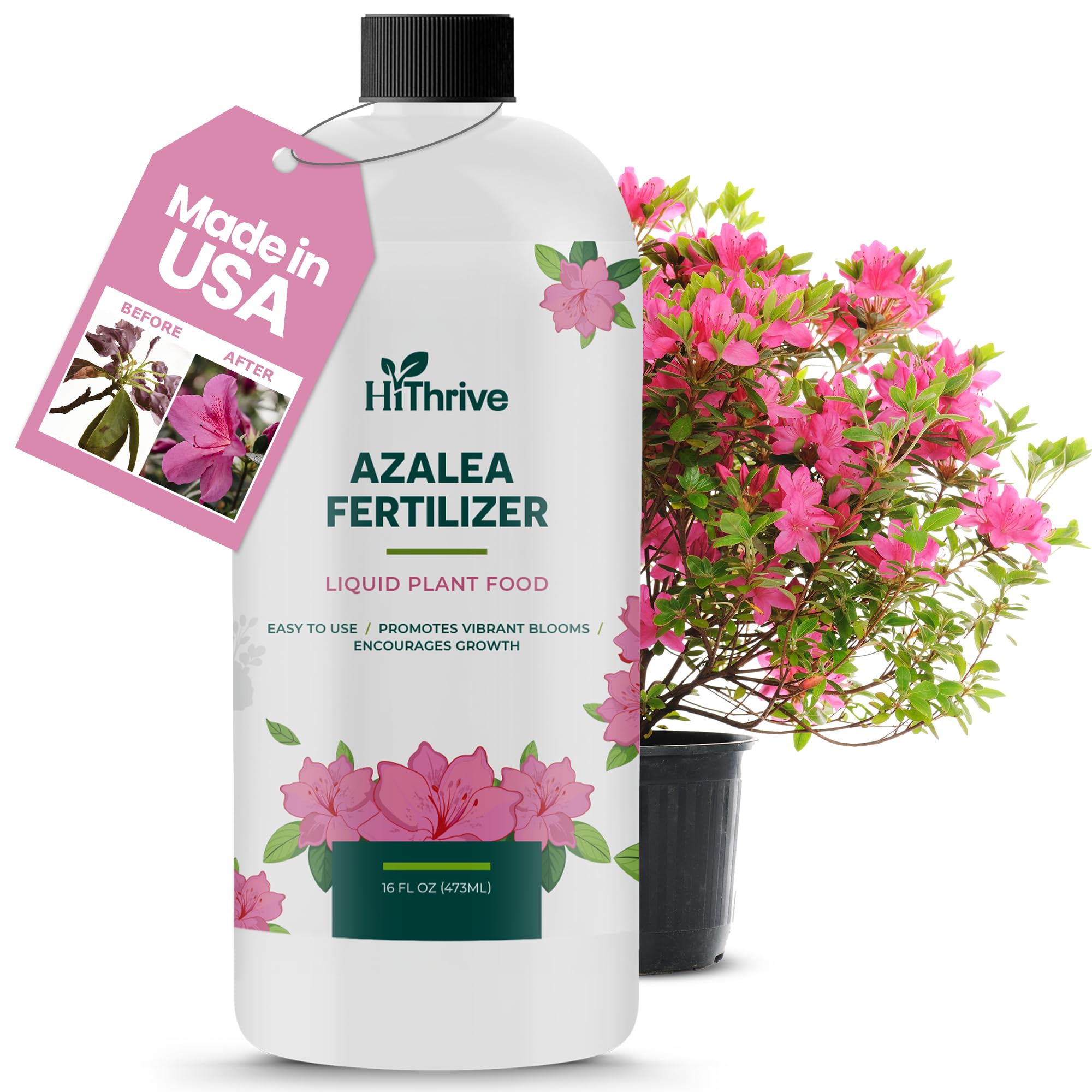 HiThrive Azalea Fertilizer bottle front boosts vibrant outdoor azalea blooms