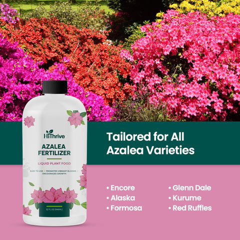 HiThrive azalea fertilizer encourages vibrant blooms with strong color.