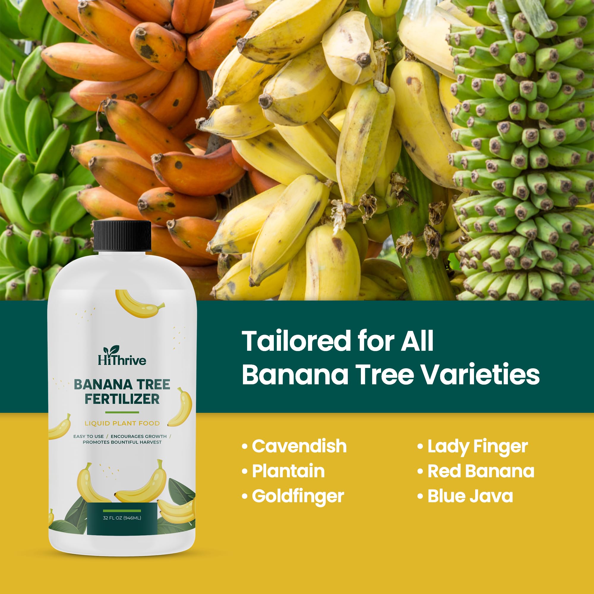 HiThrive banana fruit quality improvement for flavorful harvests.