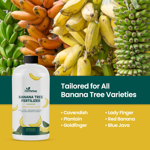HiThrive banana fruit quality improvement for flavorful harvests.