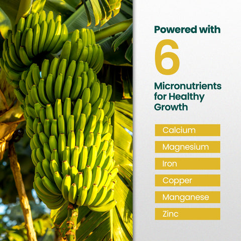 HiThrive banana root strength support for healthy plant foundations.