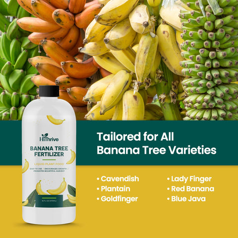 HiThrive application on a banana plant for even coverage