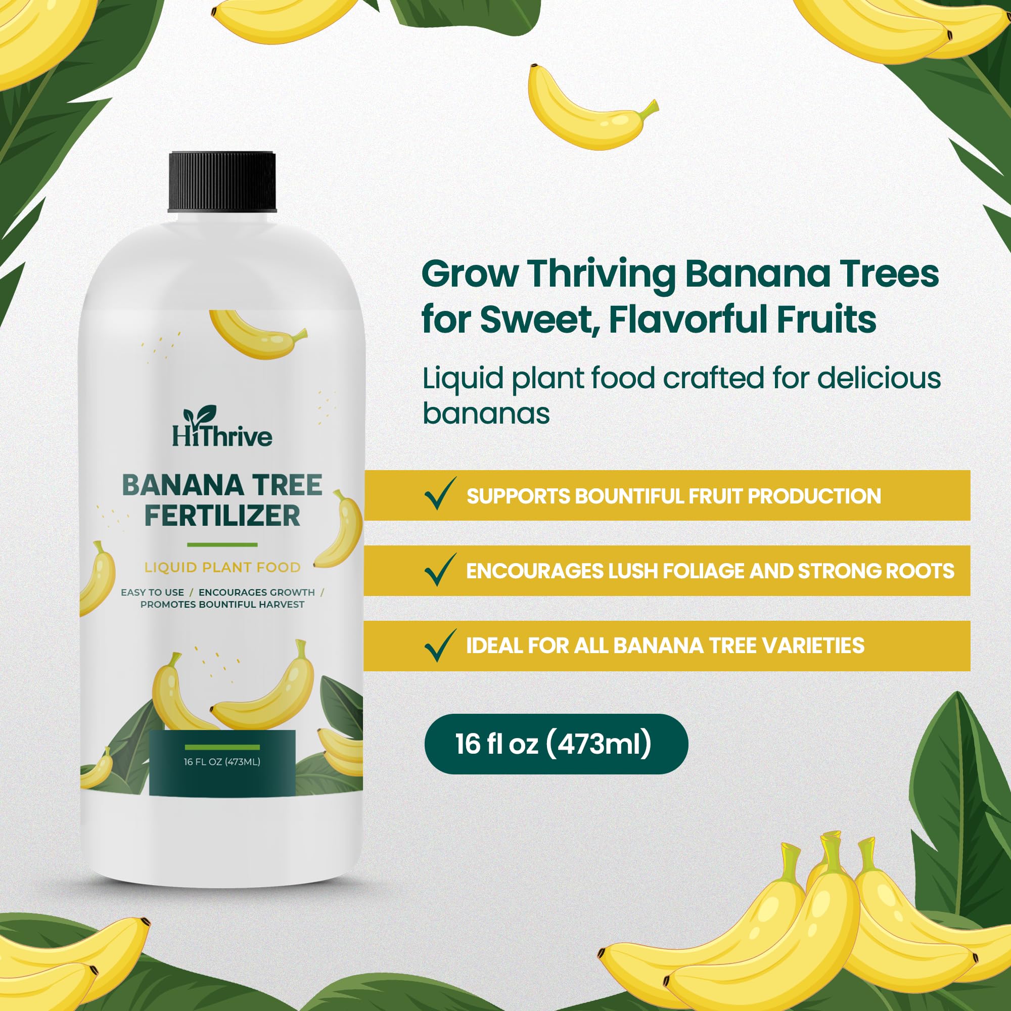 HiThrive banana fertilizer being diluted in water for feeding