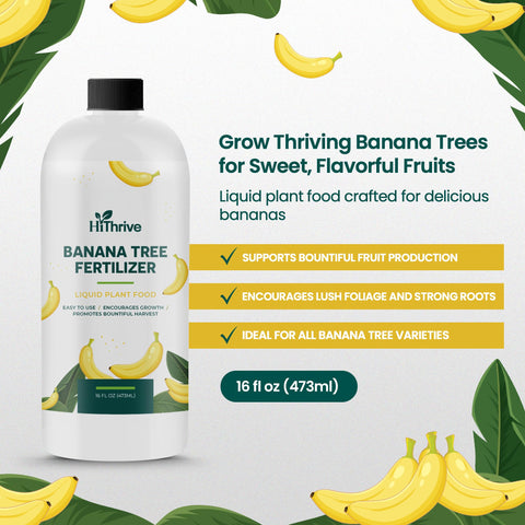 HiThrive banana fertilizer being diluted in water for feeding