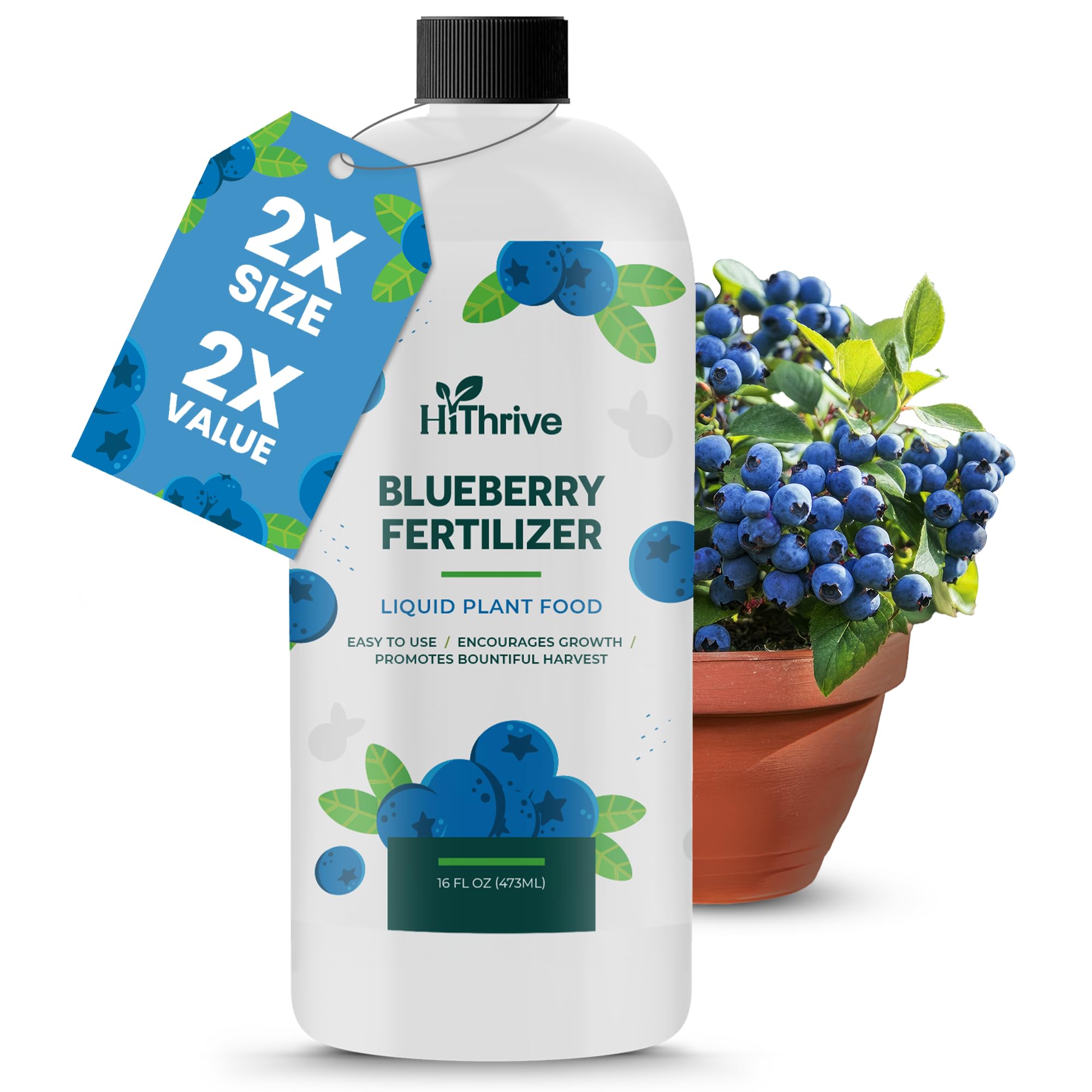 HiThrive Blueberry Fertilizer bottle close-up showing nutrients for healthy growth