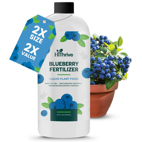 HiThrive Blueberry Fertilizer bottle close-up showing nutrients for healthy growth