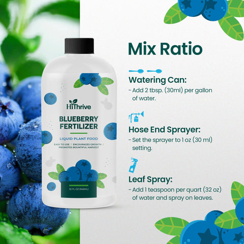 HiThrive Blueberry Fertilizer bottle ready for outdoor garden use.