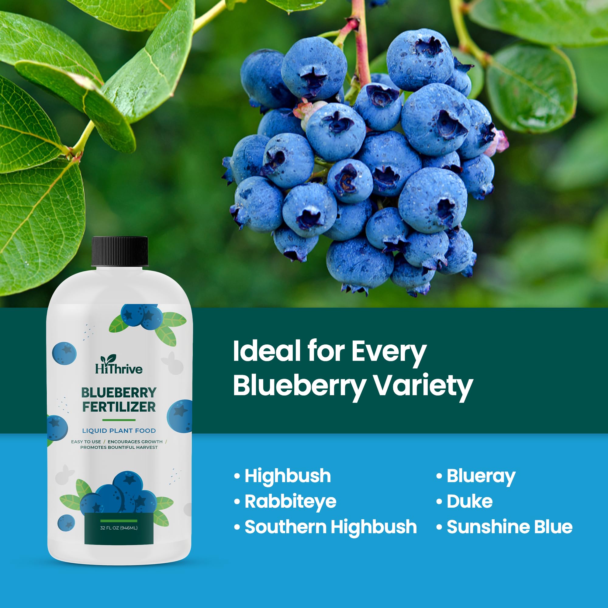 HiThrive Blueberry Fertilizer packaging highlights long-lasting supply.