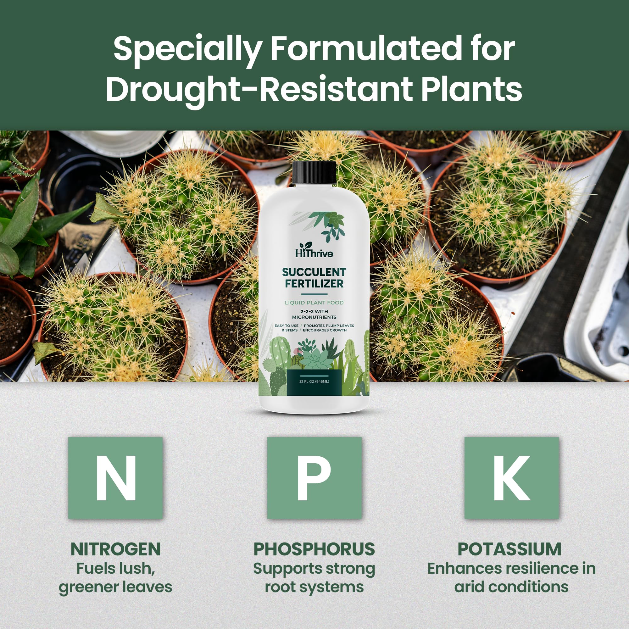 HiThrive cactus and succulent nutrients provide a rich formula.