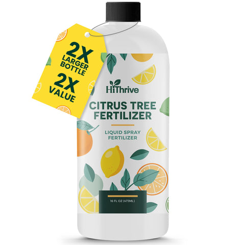 HiThrive Citrus Fertilizer bottle ready for easy tree feeding and growth