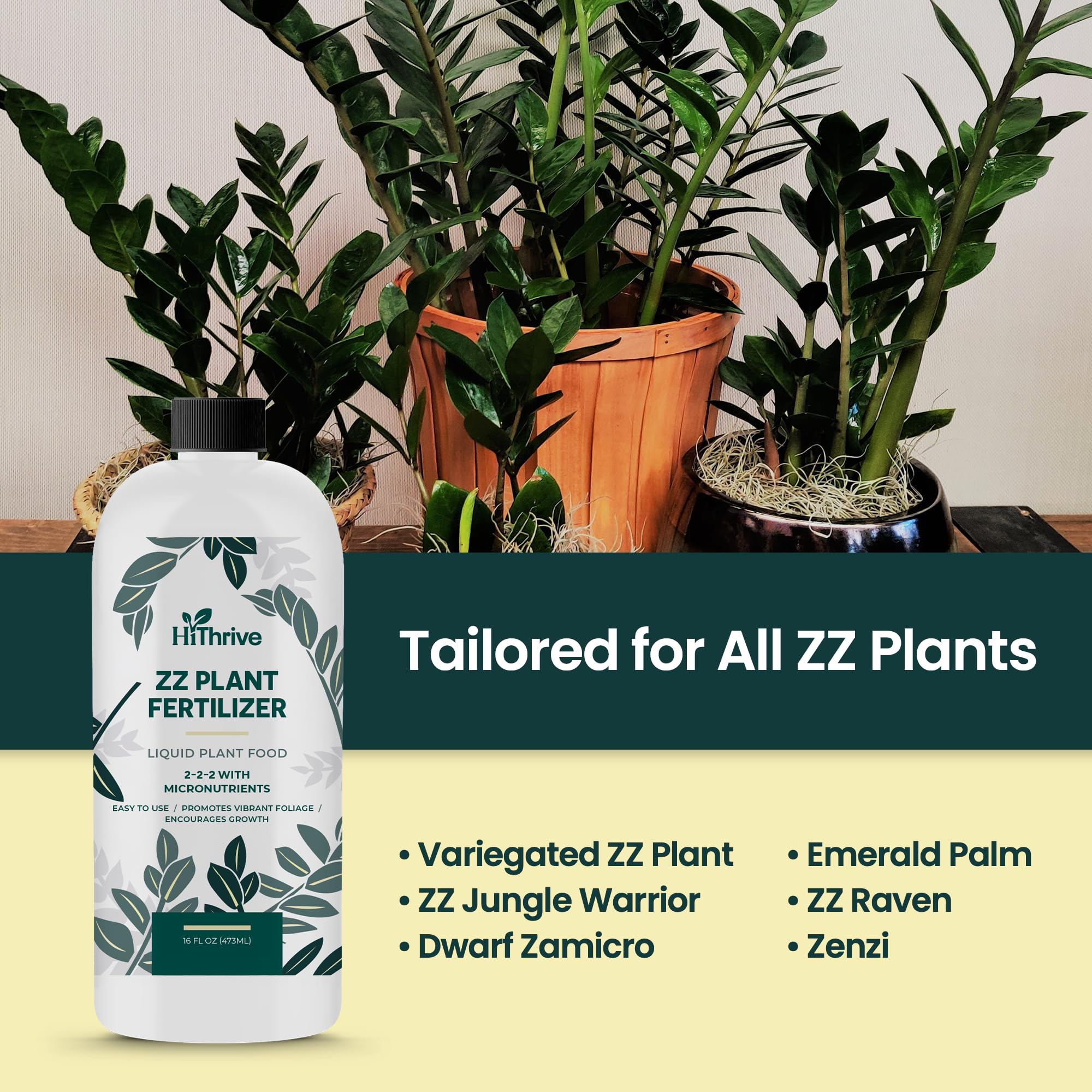 Dwarf Zamicro ZZ plant benefited by HiThrive nutrient blend.